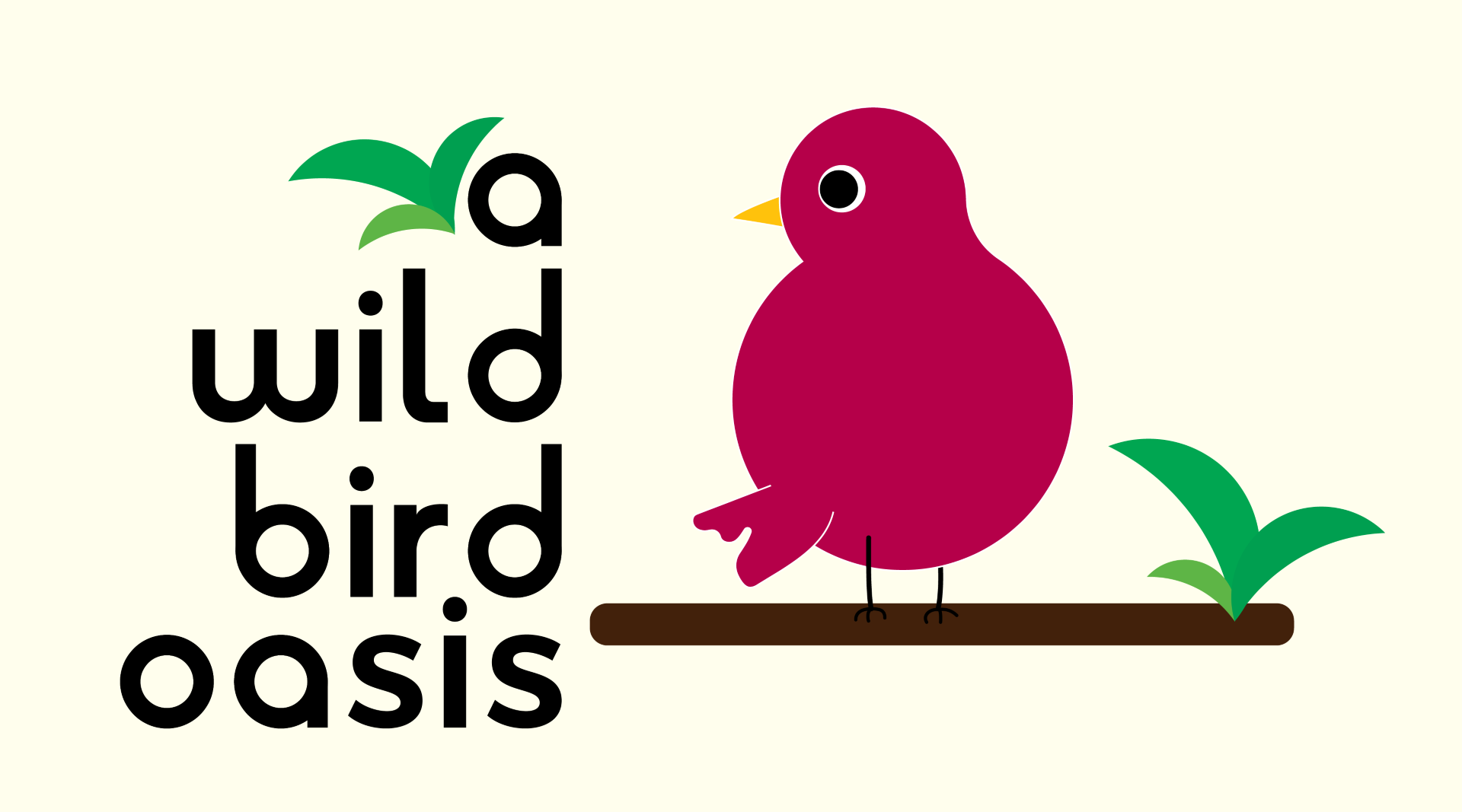 A Wild Bird Oasis